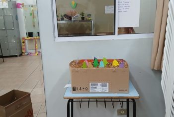 Festa Junina